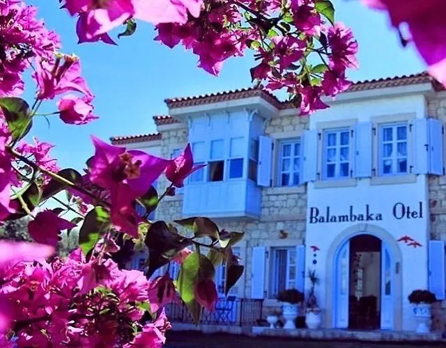 Balambaka - Alaçatı